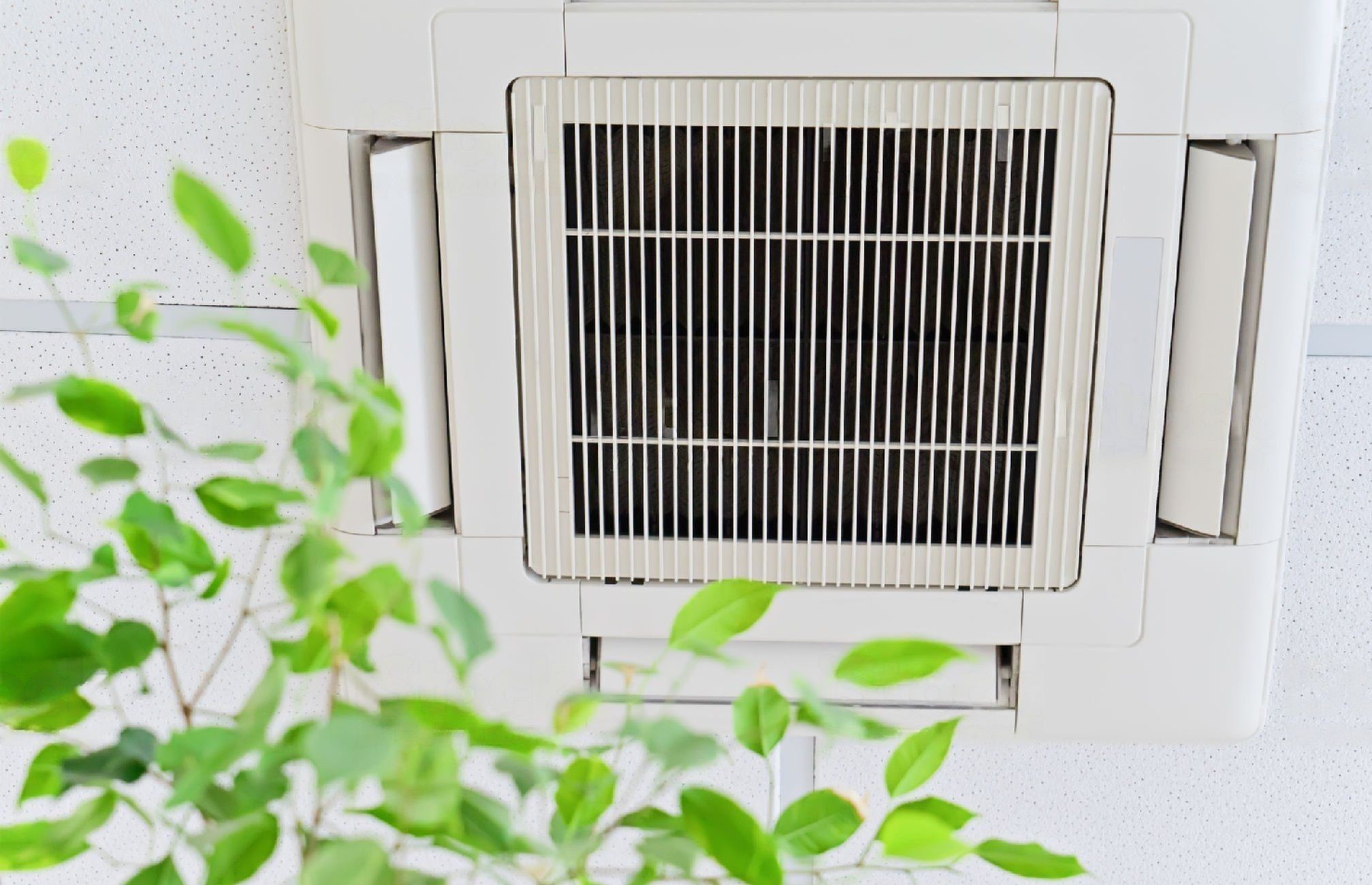 istockphoto-1162986730-2048×2048-transformed